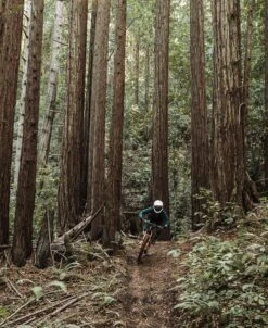 POC Resistance Pro DH Glove 9 POC Resistance Pro DH Glove -POC Shop Resistance Dh Glove Uranium Black 5 470e590b 27e7 4687 b143 eb1c4ffb1d58