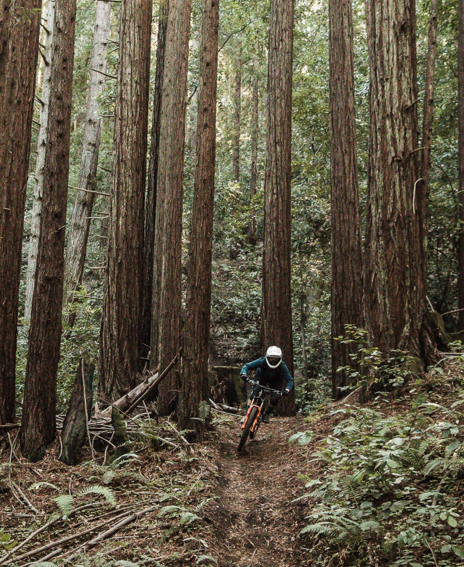 POC Resistance Pro DH Glove 6 POC Resistance Pro DH Glove - Image 4