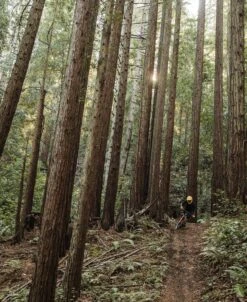 POC VPD System Chest -POC Shop Vpd System Chest 3 47d2c3e5 5176 4161 86d3 e62fafcb2b07